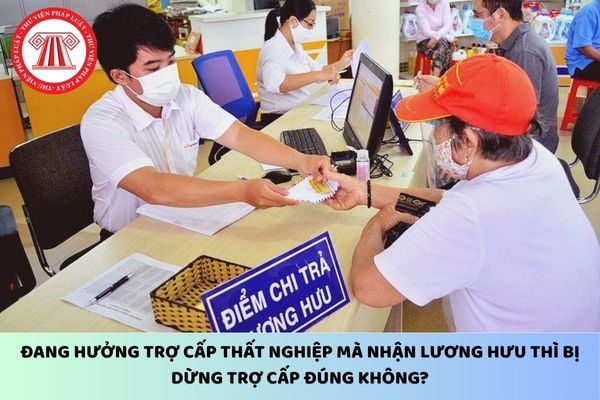 Pháp luật