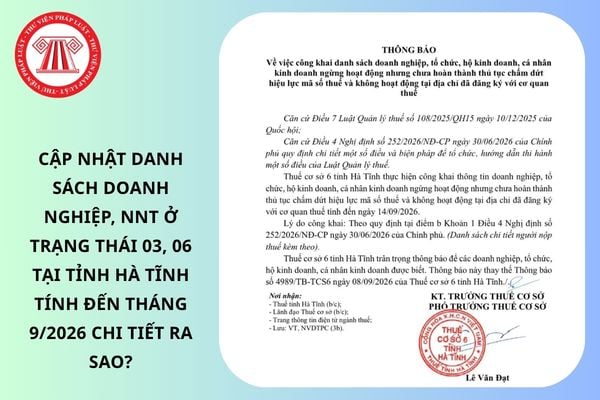 Pháp luật