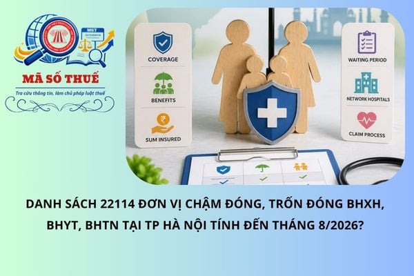 Pháp luật