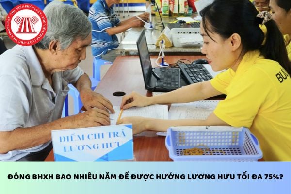 Pháp luật
