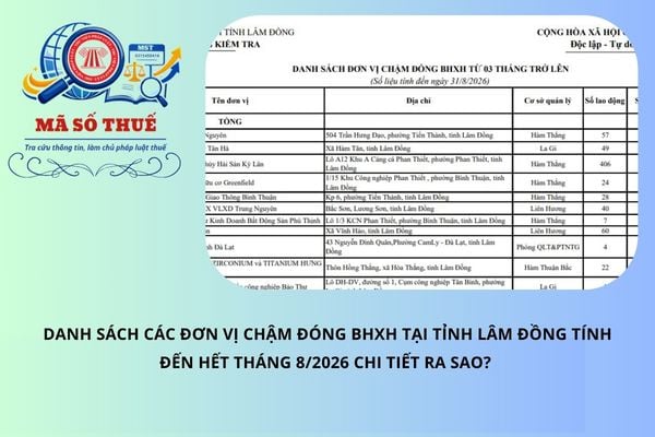 Pháp luật