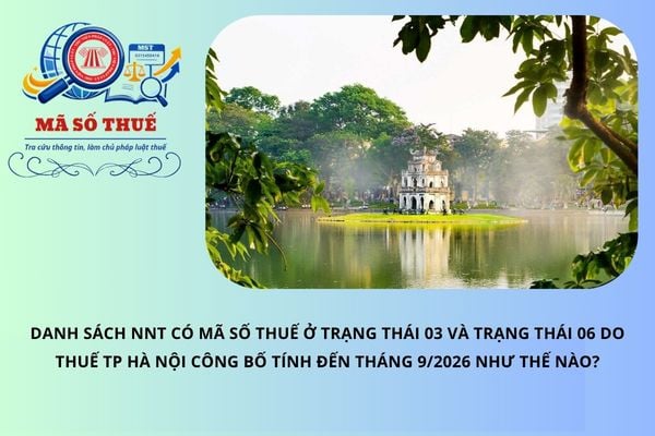 Pháp luật