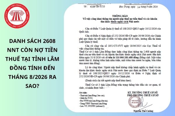 Pháp luật