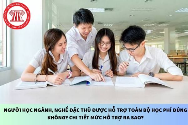 Pháp luật
