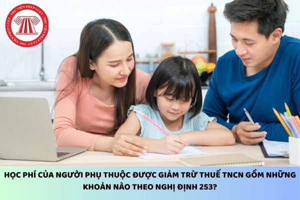 Pháp luật
