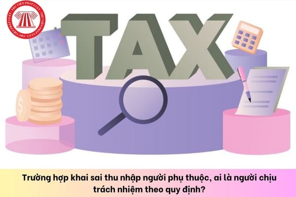 Pháp luật