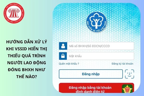 Pháp luật