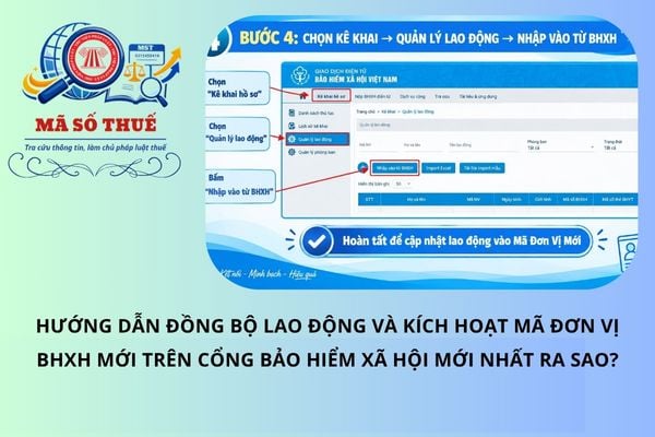 Pháp luật