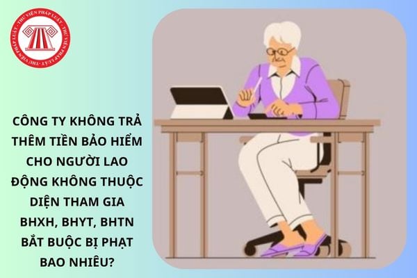 Pháp luật
