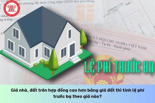Pháp luật