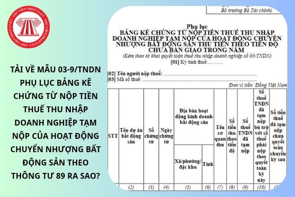 Pháp luật