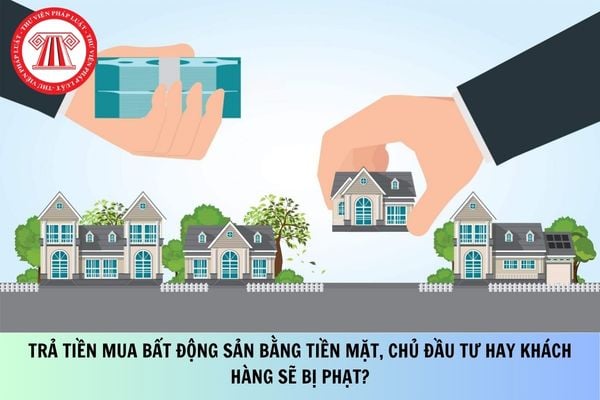 Pháp luật