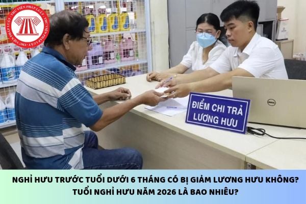 Pháp luật