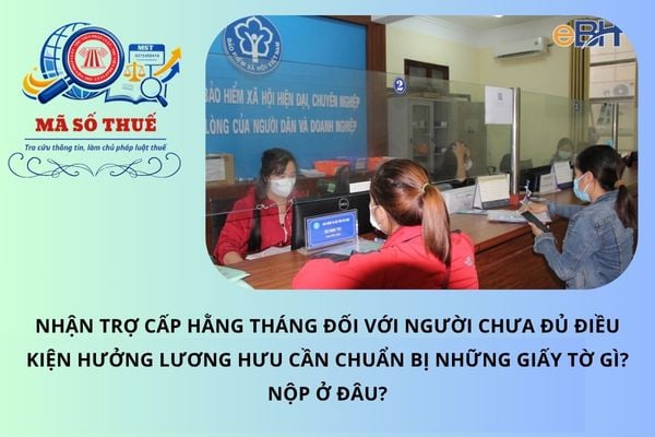 Pháp luật