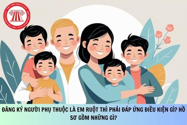 Pháp luật