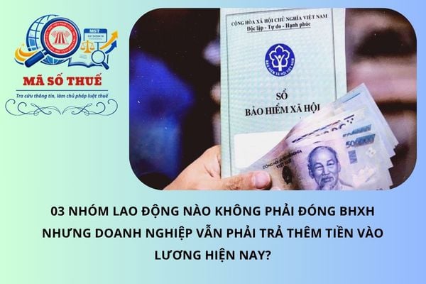 Pháp luật