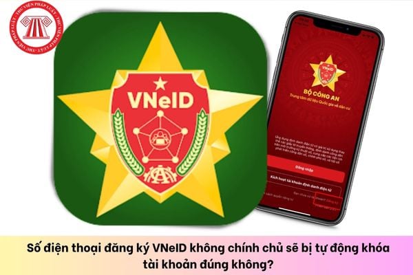 Pháp luật