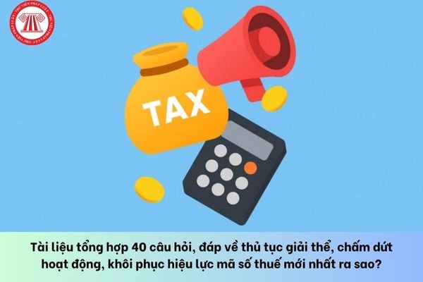 Pháp luật