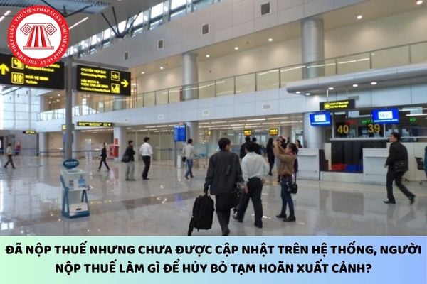 Pháp luật