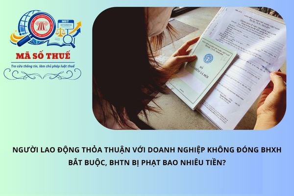 Pháp luật