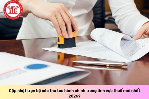 Pháp luật