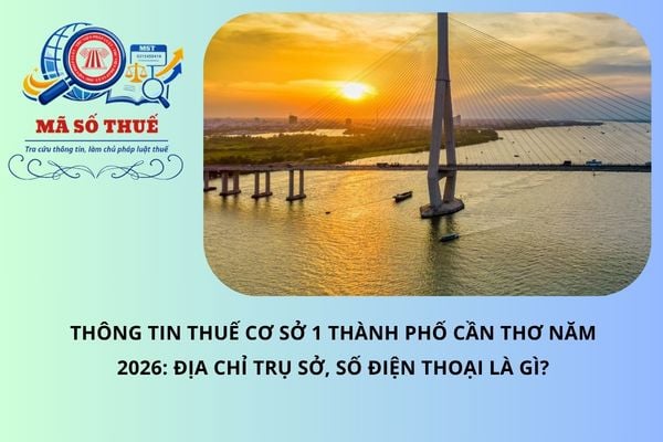 Pháp luật
