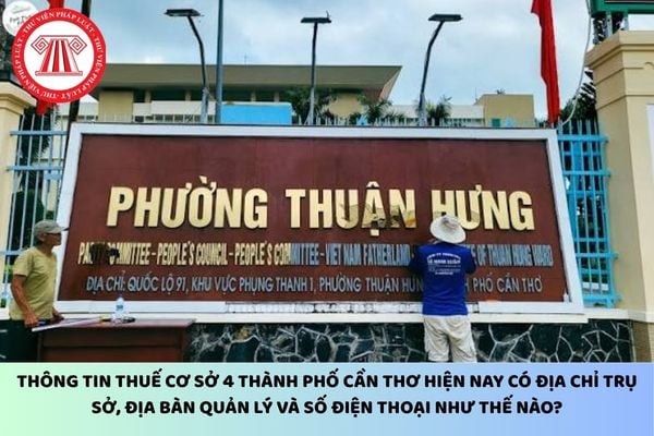 Pháp luật