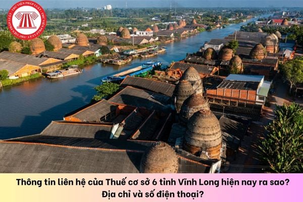 Pháp luật