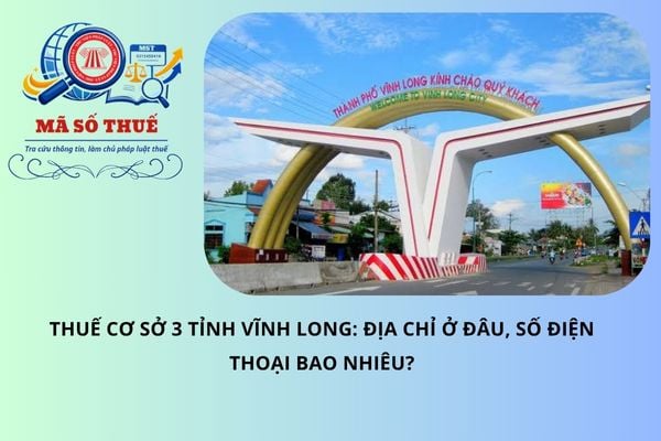 Pháp luật