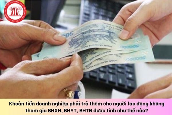 Pháp luật
