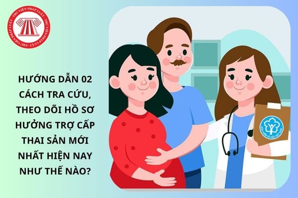 Pháp luật