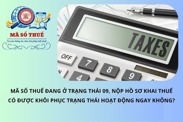 Pháp luật