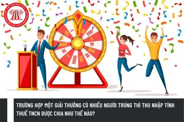 Pháp luật