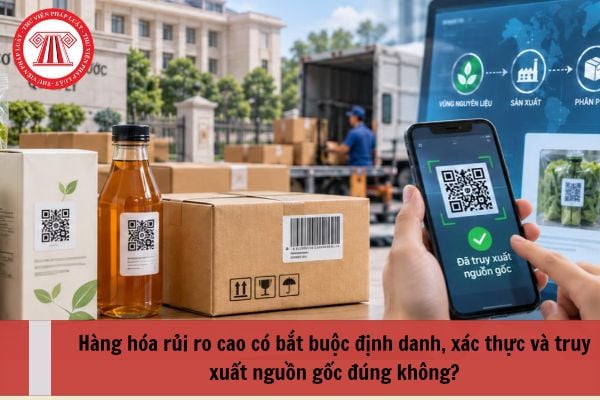 Pháp luật