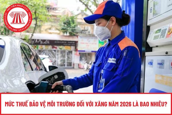 Pháp luật