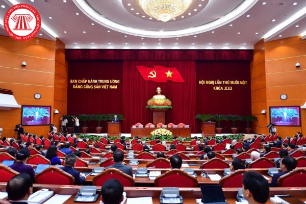 Pháp luật