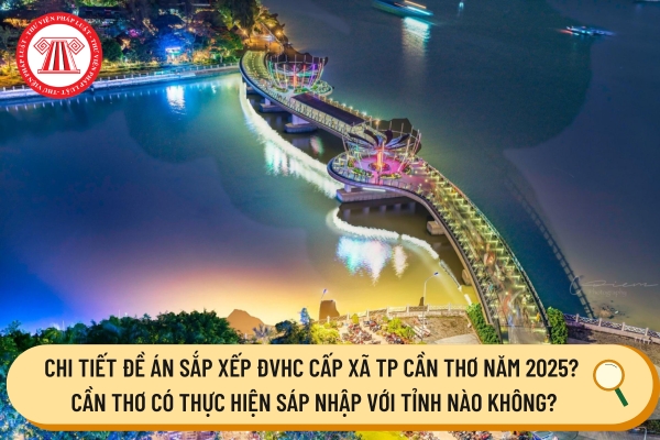 Pháp luật