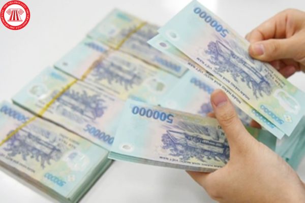 Pháp luật