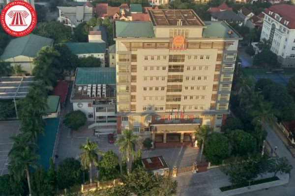 Pháp luật