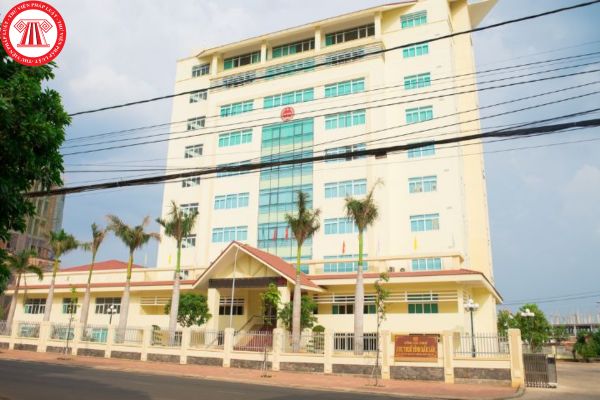 Pháp luật