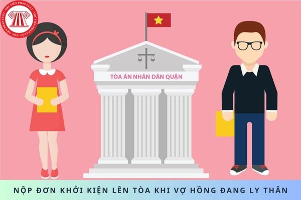 Pháp luật