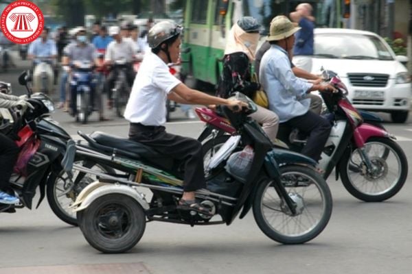 Pháp luật