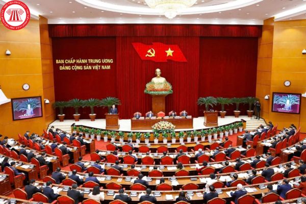 Pháp luật