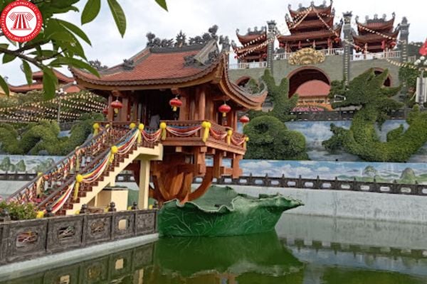 Pháp luật