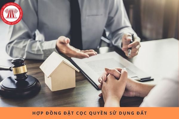 Pháp luật