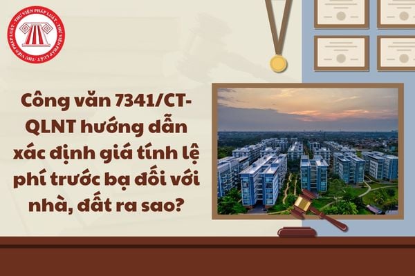 Pháp luật