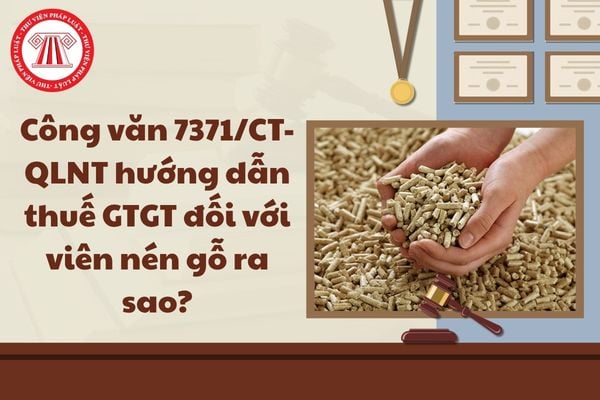 Pháp luật