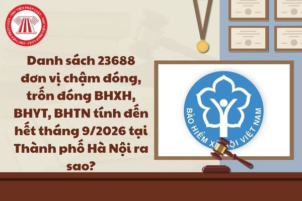 Pháp luật