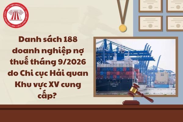 Pháp luật