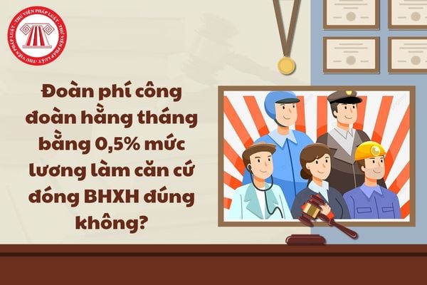Pháp luật